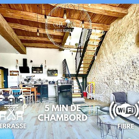 Villa CAPORIZON propose Magnifique Grange à côté de Chambord Saint-Claude-de-Diray Exterior foto